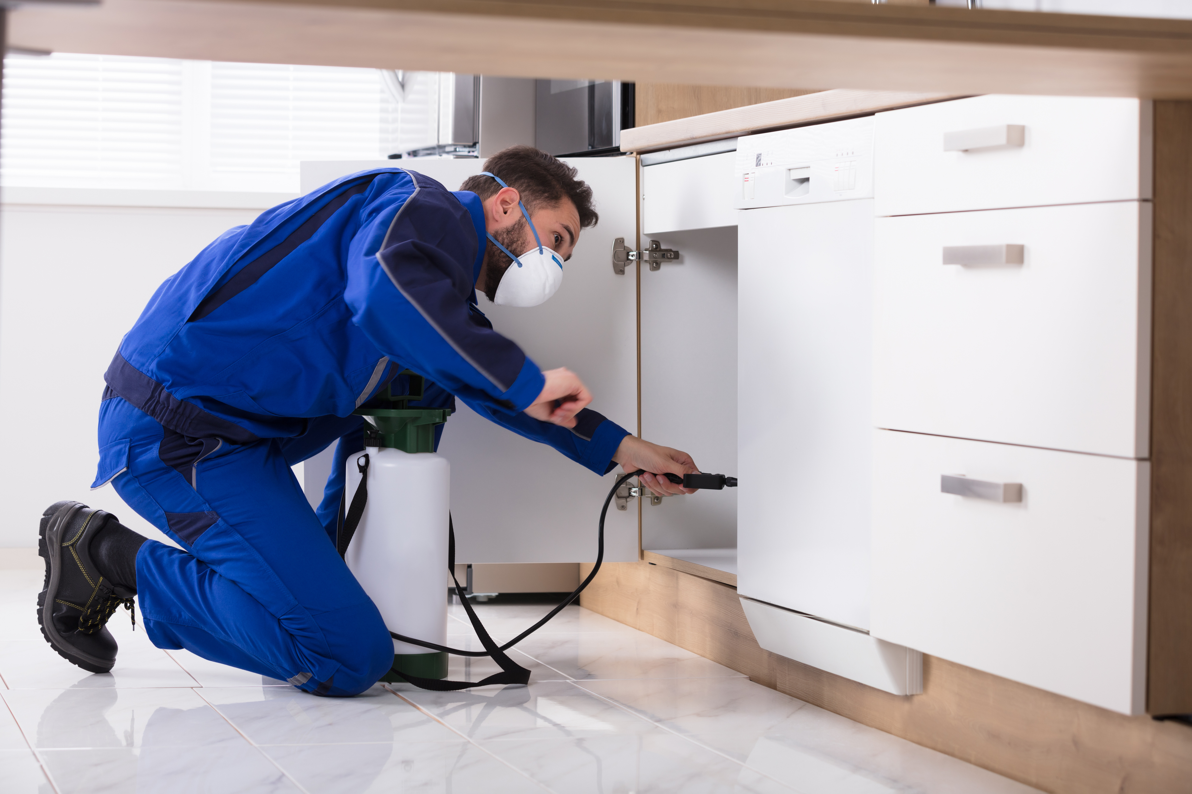 Technician thoroughly servicing under a sink.